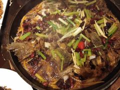 -老板恋上鱼(恒隆广场店)