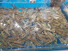 -盒马鲜生(悦峰店)