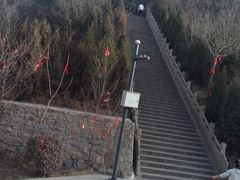 android_upload_pic-蒙山大佛景区