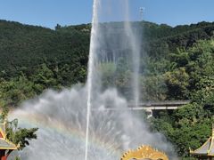 -西双版纳原始森林公园