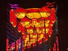 -武汉园博园(武汉自然博物馆)