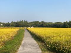 -良渚古城遗址公园