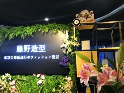 点击看大图 -藤野造型