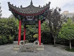 -莲湖公园