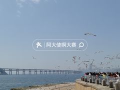 -星海湾跨海大桥