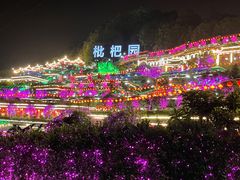 -枇杷园食为鲜火锅(南山店)