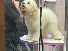 -FAELING PETS美天灵宠物(富力广场店)