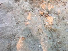 -金沙滩海水浴场(万平口景区4号门扬帆广场店)