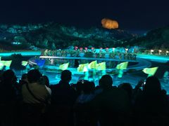 演出-鼎盛王朝康熙大典实景演出