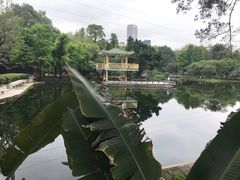 -晓港公园