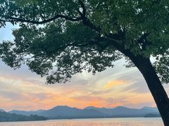 -杭州西湖柳莺里酒店·闻莺厅