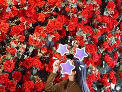 -蓝山四季西餐植物店