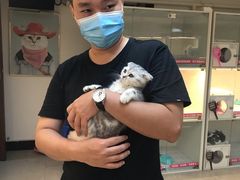 -lincat·猫舍(广州店)