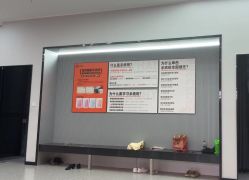 -单色舞蹈