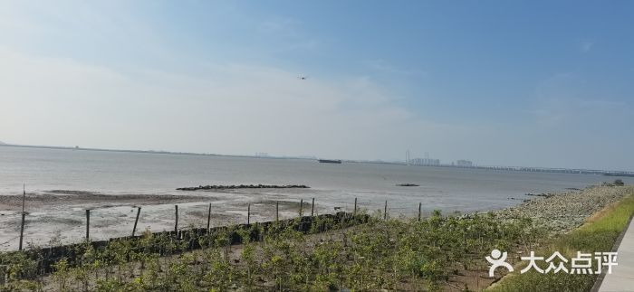滨海公园图片
