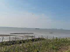 -滨海公园