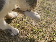 -大可堂普洱茶馆(襄阳南路馆)