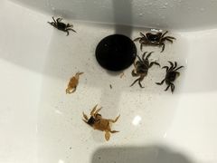 -鹦鹉洲湿地公园