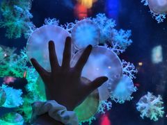 -太平洋海底世界