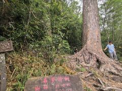 -海南热带雨林国家公园吊罗山景区
