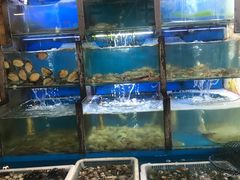 水产区-老东镇啤酒屋海鲜加工·蒸汽海鲜·海鲜烧烤(台东店)