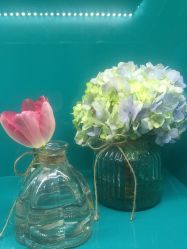 -芙贝佳禾·痘肌管理中心