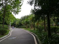 -广州市第二中学高中部(科学城校区)