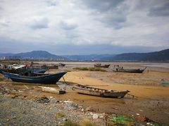 -北岐滩涂