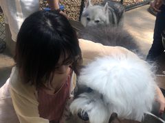 -TrueLove @ Neverland (Husky Cafe)