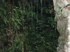 -杭州黄龙洞
