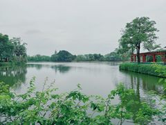 -星湖旅游景区七星岩
