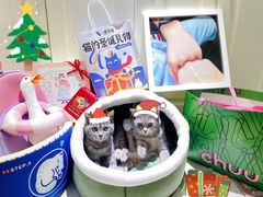 -comecome来吧宠物(奥克斯中心店)