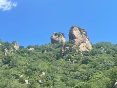-大岭沟猕猴桃谷风景区