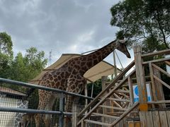 -泉州海丝野生动物世界