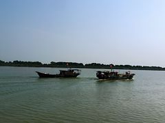 -大湾区中央湿地公园-十九涌