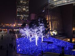 -上海柏悦酒店·世纪100牛排馆