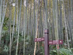 -南山风景名胜区