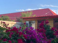 -马白开来特色羊排揪片子  (总店)