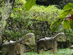 -宁波市保国寺古建筑博物馆
