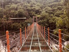 -燕子河大峡谷天坑仙境