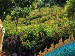 -西双版纳勐泐文化旅游区