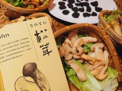 -滇野云南野生菌餐厅(陕西南路店)