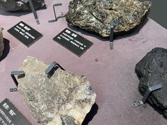 -浙江自然博物院(杭州馆)