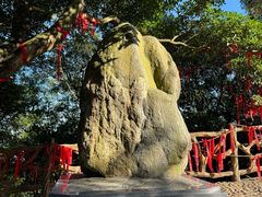 -广州市帽峰山景区