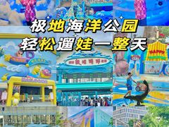 -海合安成都极地海洋公园