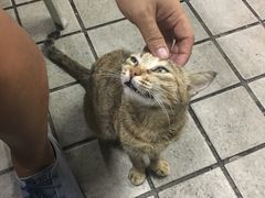 -揭阳钟记小食(福田新村店)