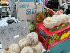 -帝京日语(春熙路旗舰校区)