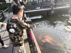 -西湖外事游船(花港观鱼码头)