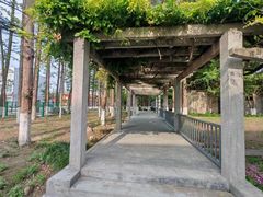 -同济大学(沪西校区)