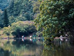 -深圳仙湖植物园